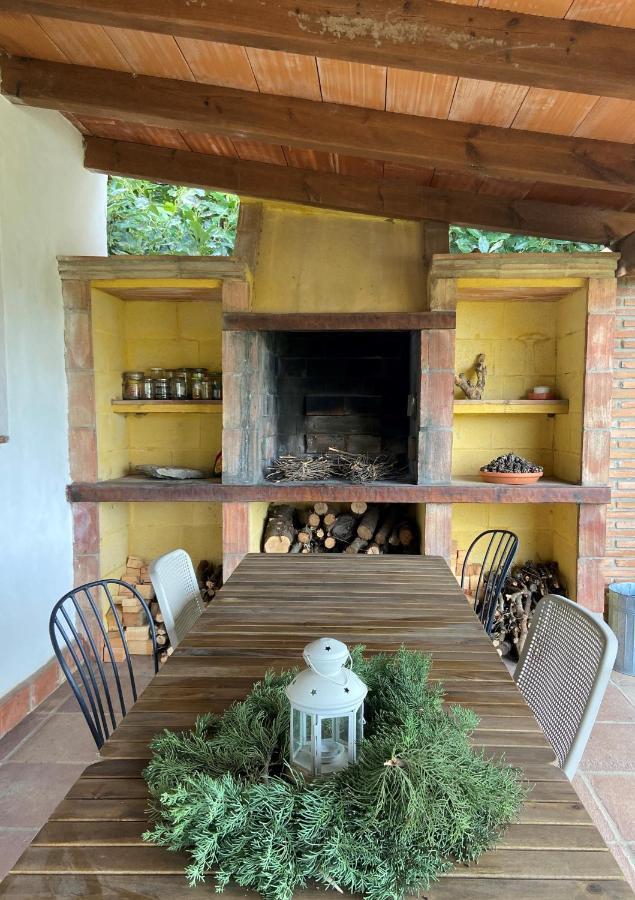קסרס The Wild Olive Andalucia Agave Guestroom מראה חיצוני תמונה